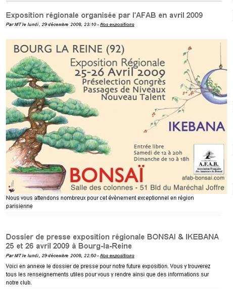 Exposition bonsa  Bourg La Reine Screen10