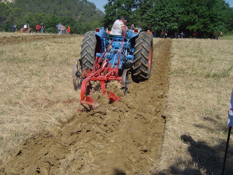 outil de labour Dsc03410