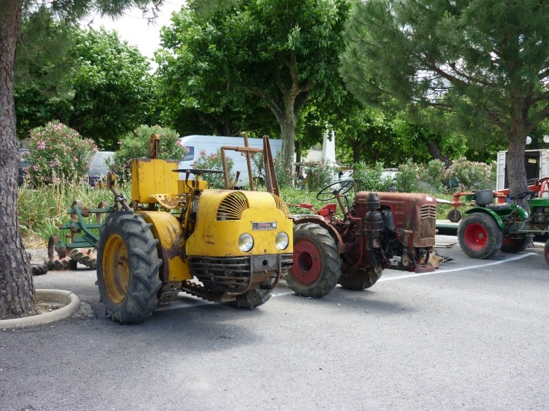 fête de l'agriculture à Saint THEODORIT (Gard) 20 Juin 2010 St_the39