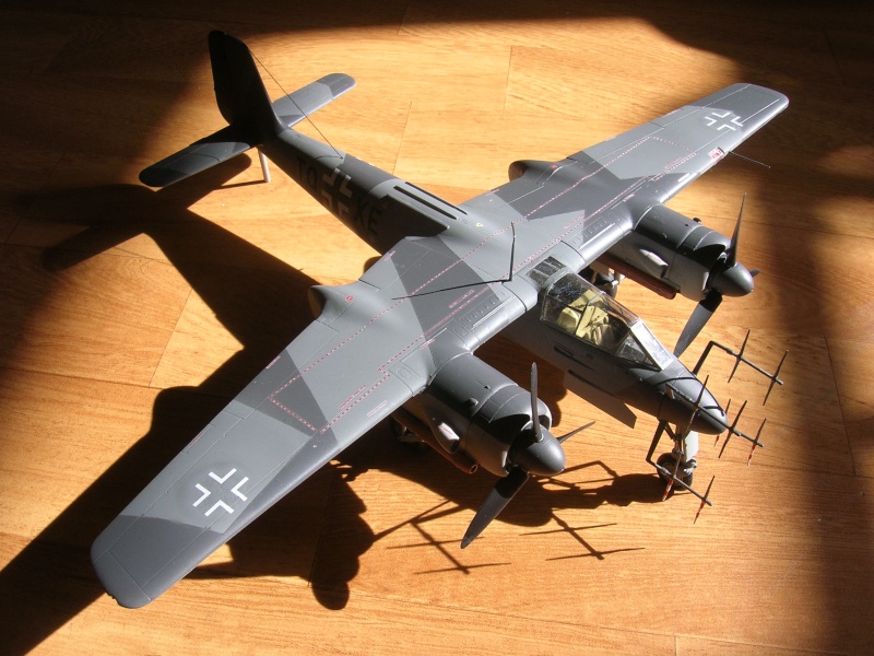 Focke Wulf TA 154 Moskito Dscn9414