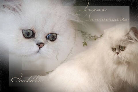 Joyeux Anniversaire Isabelle