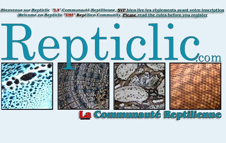 Forum Reptile Bienvenue sur Repticlic, LA communauté reptilienne Pour_p11