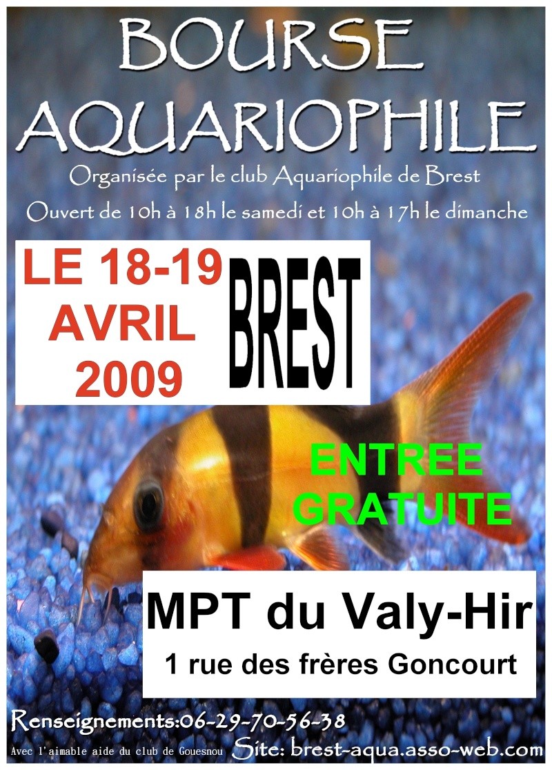 Bourse à Brest [29] [18-19/04/09] Bourse10