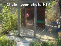 L'association "Les chats de Stella" Chalet10