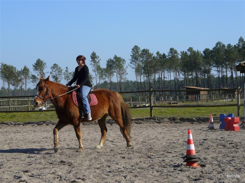 cavalières P1140211