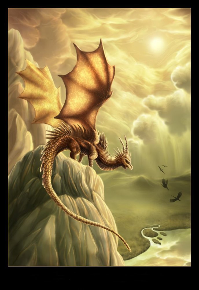 Dragons jaunes Dragon12