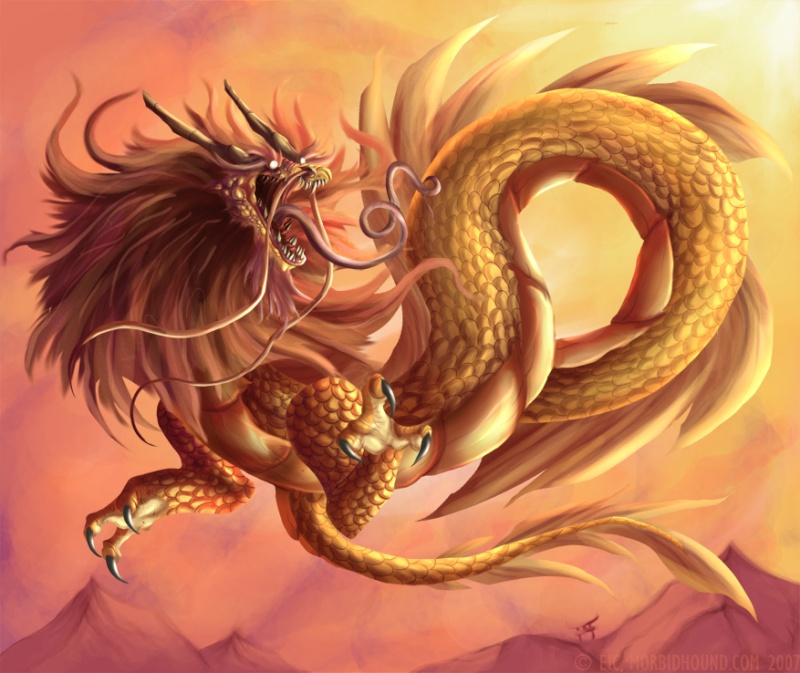 Dragons de Feu Golden10