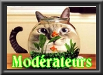 Modérateur général Modérateur général