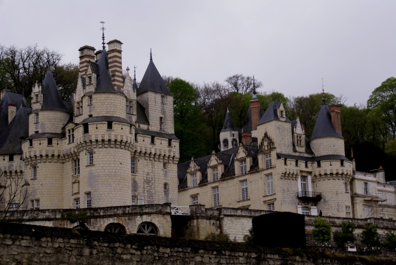Les châteaux de la Loire - Page 4 Dsc08210