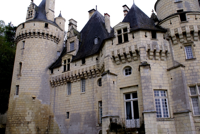 Les châteaux de la Loire - Page 4 Dsc08213