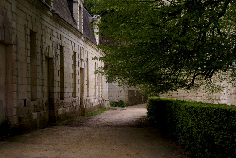 Les châteaux de la Loire - Page 4 Dsc08218