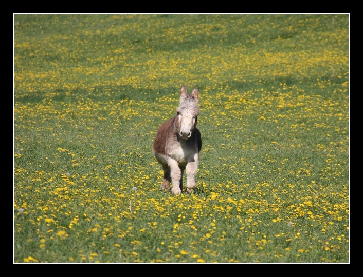 Tout en mouvement Img_3012