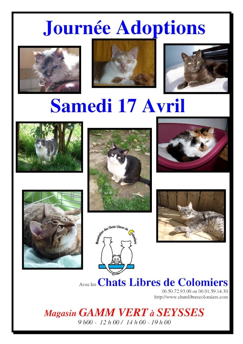 Samedi 17 Avril Gamm Vert Seysses Affich10