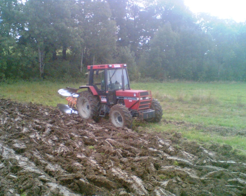 CASE IH 845_lu10