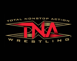 TNA.Impact.01.08.09.XviD~RMVB.263 84427610