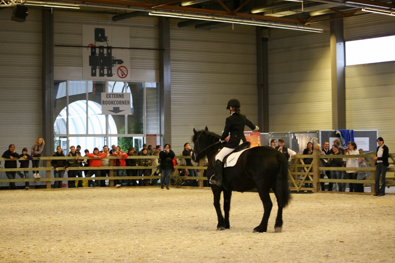 Flanders Horse Expo 2010 Img_5812