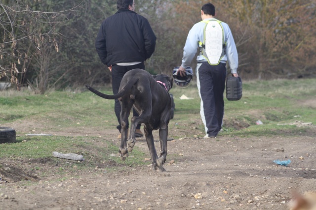 Choupette, Simba et Vanda au terrain de cross Img_8810