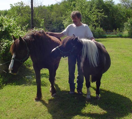 ARTHUR & AKIM - ONC poneys présumés nés en 1989 - adoptés en août 2009 par kalkita Akim_h10