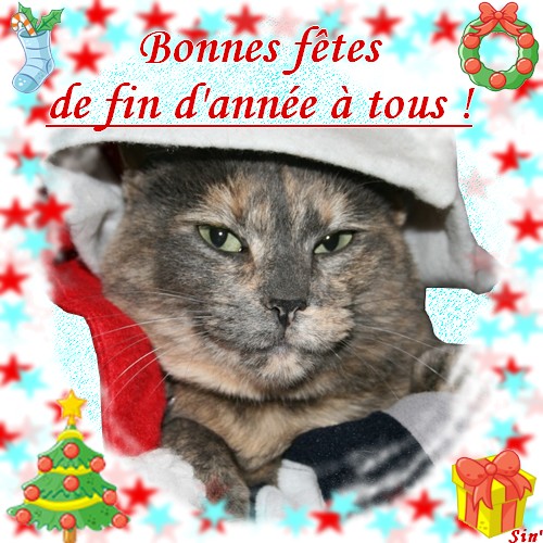 Liste des photos et des montages des gagnants ! - Page 5 Noel_210