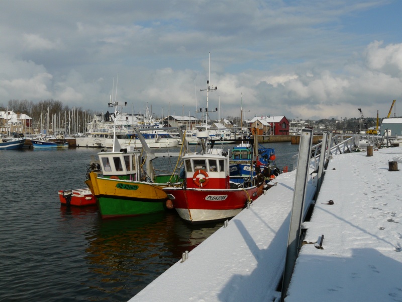 Neige trestel et paimpol P1030611