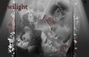 [Fanarts] Saga Twilight : les livres, le film - Page 9 Wallpa10