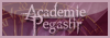 Académie Pegastir [1 AVIS MITIGE] 100x3510