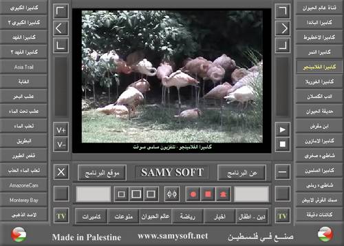 برنامج Samy Soft V3 الاصدار التالت Alamel10