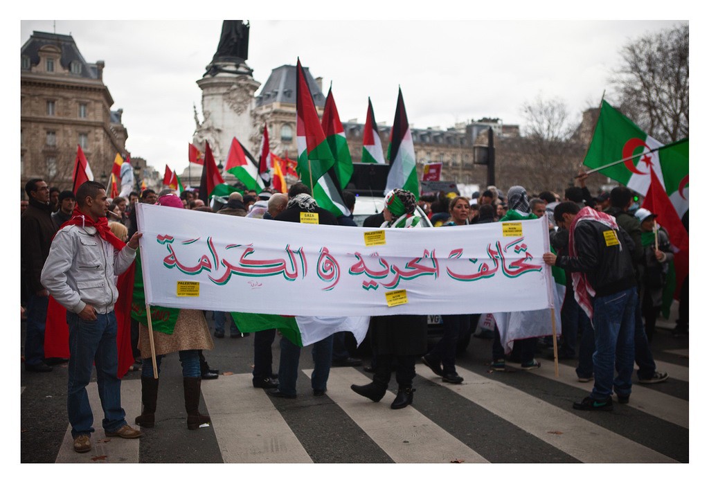 Manifestation en soutien aux révolutions arabes à Paris 20110230