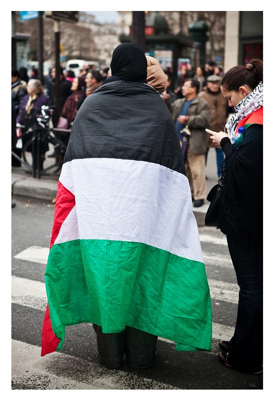 Manifestation en soutien aux révolutions arabes à Paris 20110231
