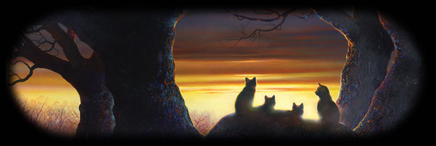 Warrior Clan Cats:2