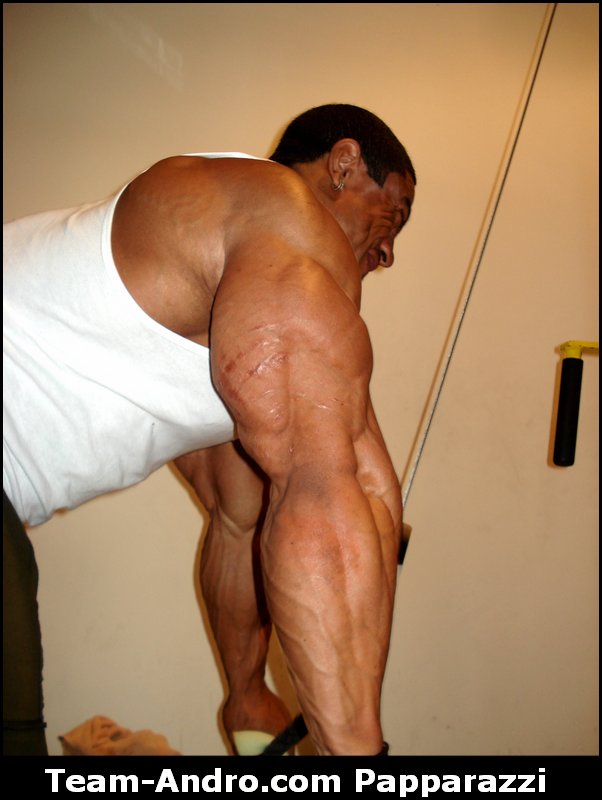 Roelly Winklaar avant l'Arnold Classic 2010 - Page 19 Ta_pap10