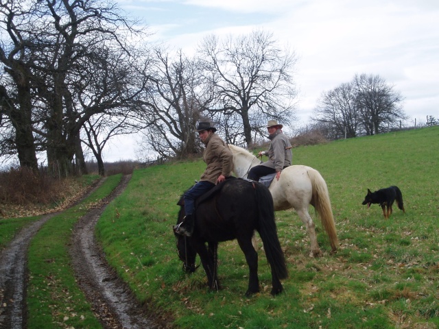 28 mars!! on fete le printemps dans les terres froides..piknik a ch'val..QUI VIENT EN VAN/CAMION? - Page 6 P1010056