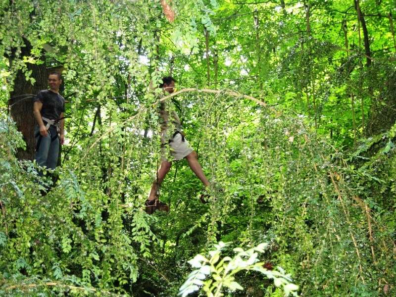 [IDF] le 12 juin accrobranche - Compte rendu Img_2050