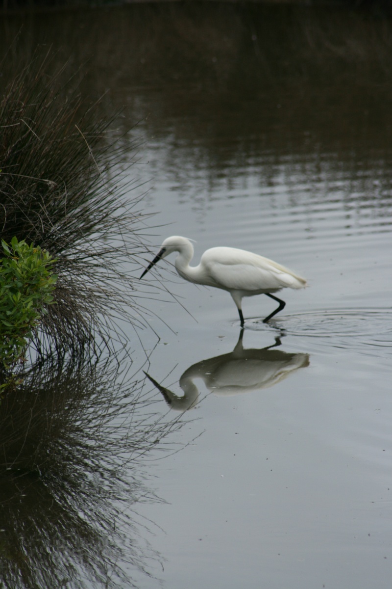 photo du jours  Arcach19