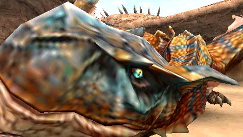 Photos artistiques de monster hunter - Page 3 Screen10