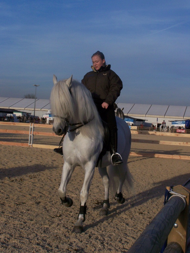 Week end a Avignon pour salon du cheval et manade ? - Page 8 Cheval16