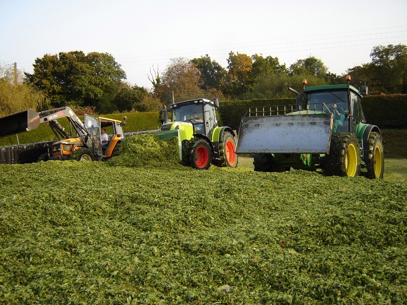 Ensilage de mas 2008 - Page 4 Dsc03412