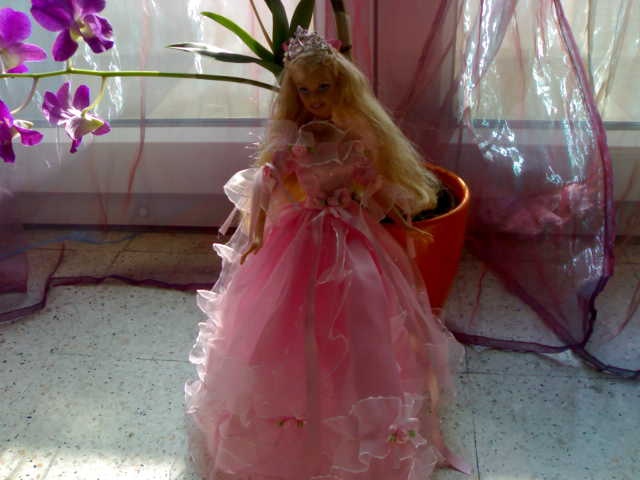ma collection de Barbie - Page 3 24082012