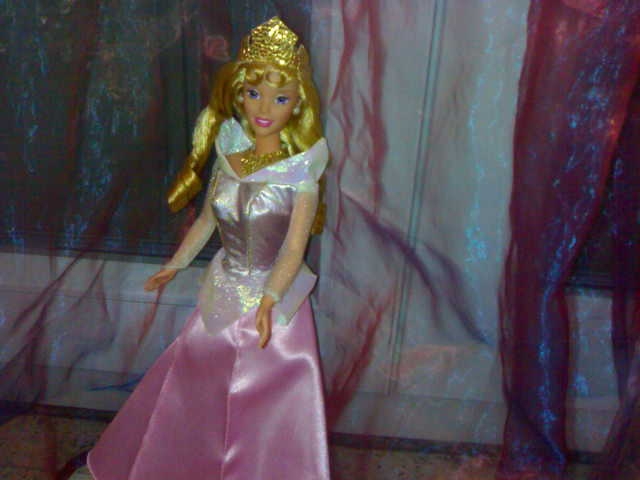 Ma collection des princesses Disney 30012011