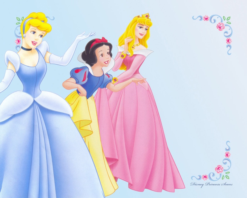 princesses ensemble Disney28