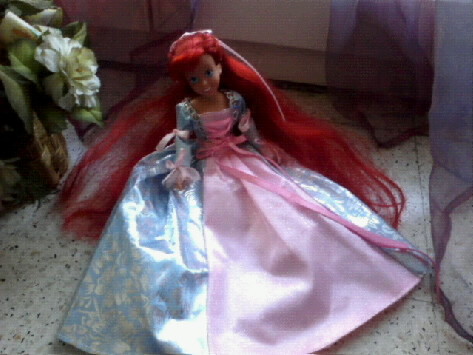 Ma collection des princesses Disney Photo013