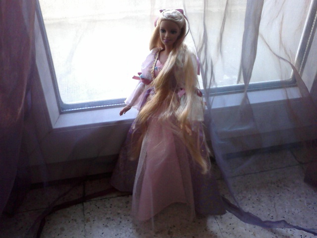 Ma Collection de Princesses Barbie Photo030
