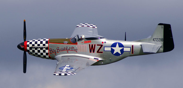 P-51 Mustang P51d10