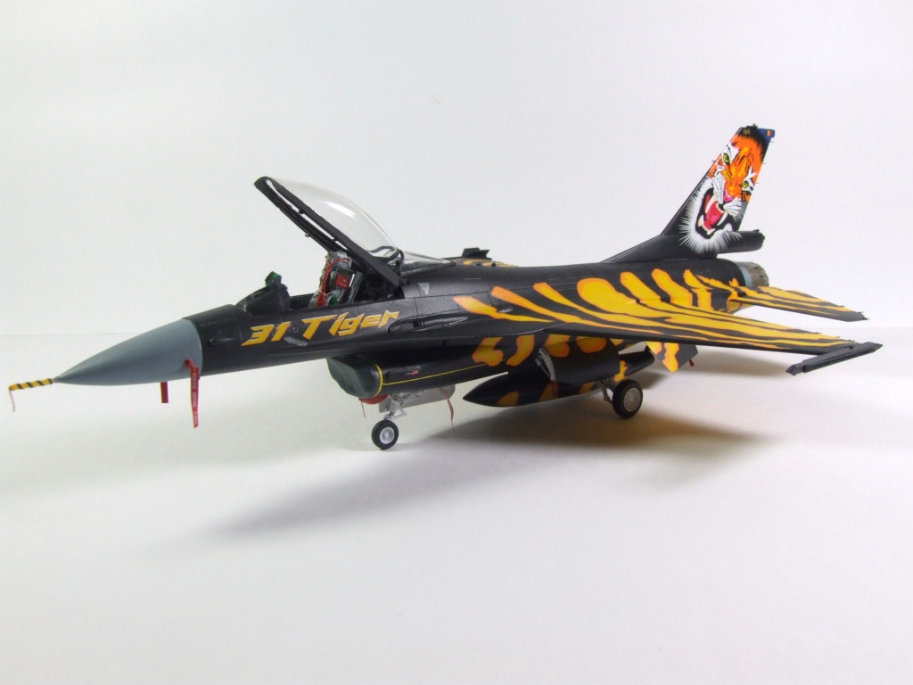 f-16 tiger meet. 00114