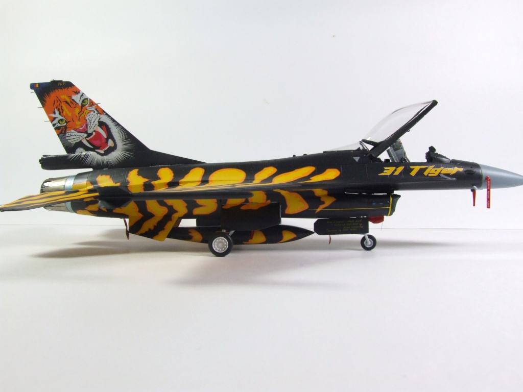 f-16 tiger meet. 00310