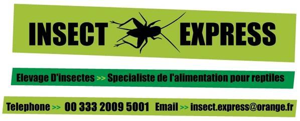 COMMANDE INSECT EXPRESS Insect10