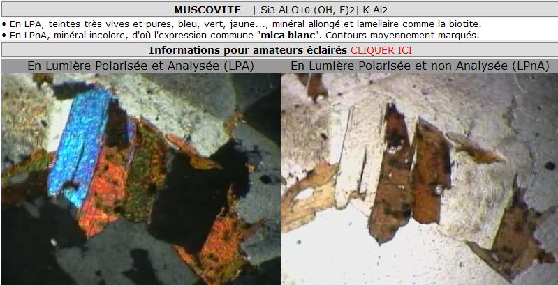 un coup de main sur les principaux minéraux au microscope p 410