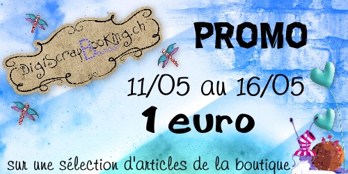 Promo 1€ Affich11