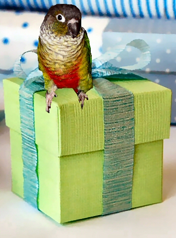 gift box Skittl10