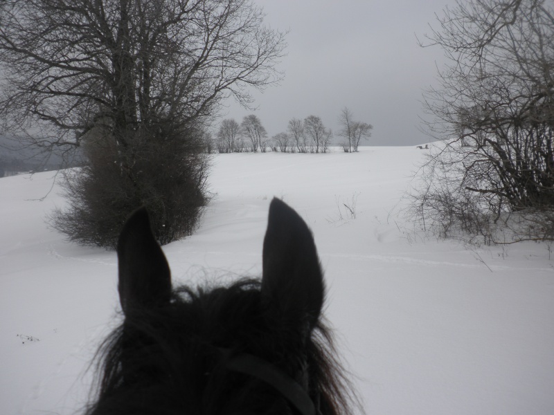 la neige, le retour 01311